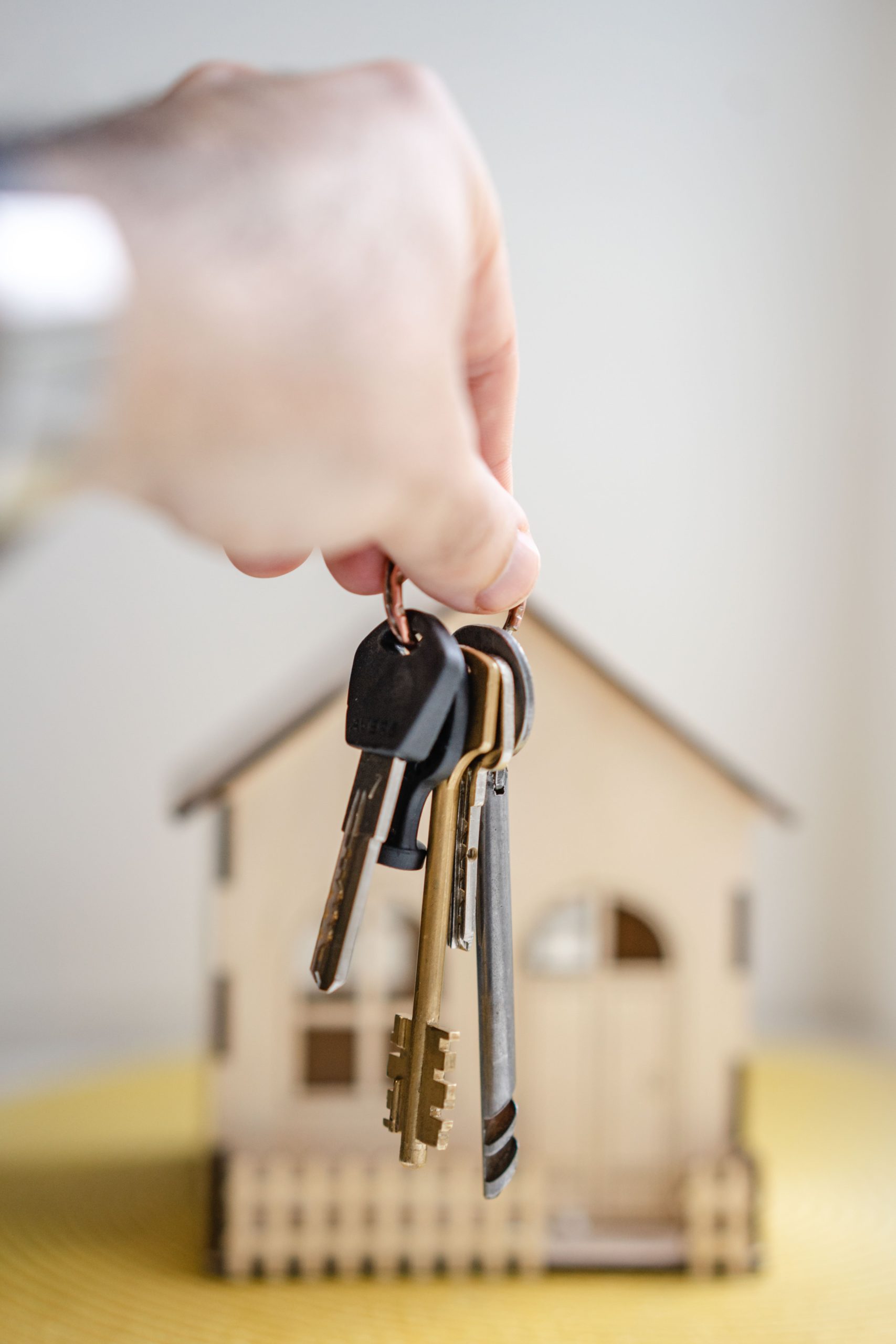 investir dans l'immobilier