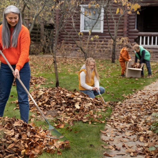 Débarras de jardin ou extérieur