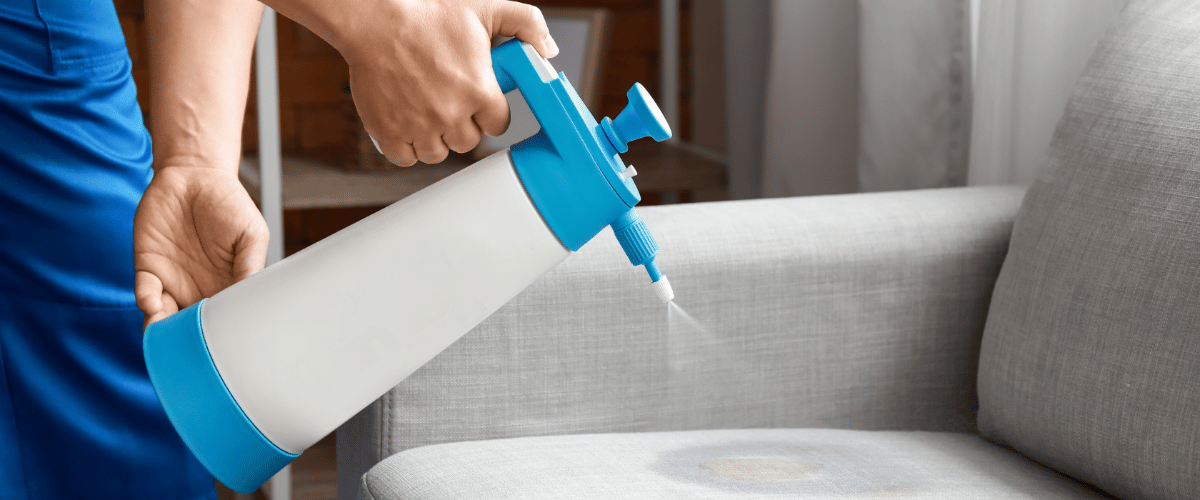 nettoyer un odeur sur un canapé